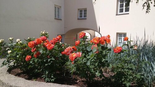 Domus Maria, Book Hotel Vilnius Old Town Vilnius, near Vilnius Train Station