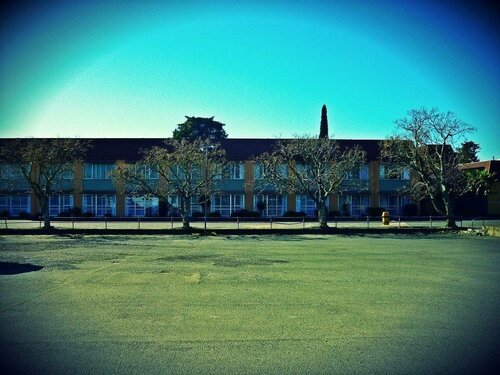 Angus Hotel, Book Hotel Hoteller i Auckland Region med pool, Swimmingpool