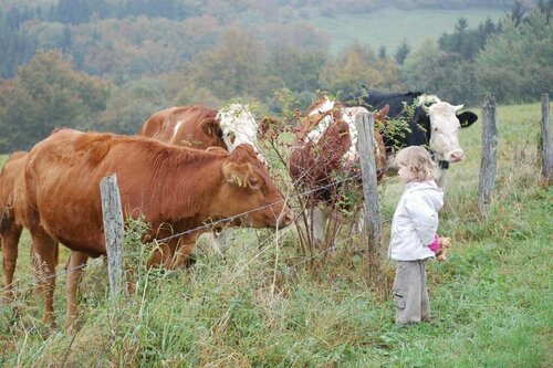 Ferienwohnungen Schweizes Ferienhof