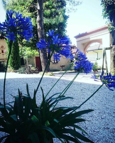 B&B Corteprimavera, Book Bed and Breakfast Hotels in Franciacorta with Breakfast, Breakfasts