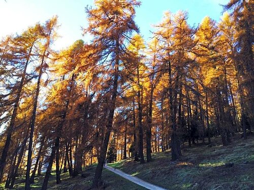 Agritur Maso Ciprianna B&B, Забронировать Отель «постель и завтрак» Монклассико Валь-ди-Соле