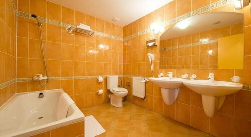 Hotel Dvorak, Забронировать Отель Отели Ческе-Будеёвице 3 звезды, рядом с Выставочный центр Ческе-Будеёвице, 3*