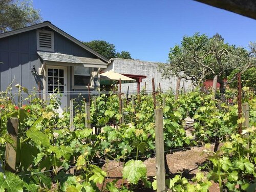 Andrea's Hidden Cottage, Забронировать Дом для отпуска Сонома Wine Country - Northern California, рядом с Музей Depot Park Museum