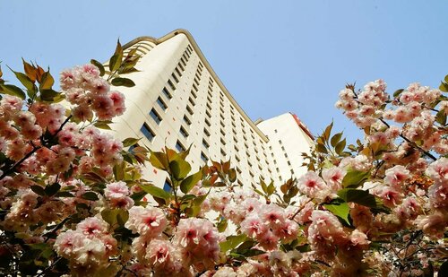 Rosedale Hotel & Suites Beijing, Забронировать Отель Чаоян Пекин