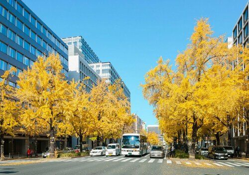 Jr West Group Via Inn Shinsaibashi