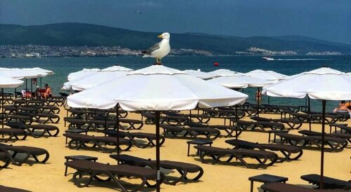 Flamingo Beach Hotel, Забронировать Отель Отели Солнечного берега 3 звезды, рядом с Royal Beach Mall, 3*