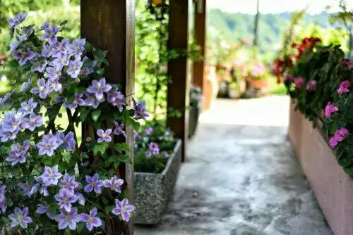 B&B Cascina Ciapilau, Prenota Hotel Hotel a Piemonte con parcheggio, Parcheggio