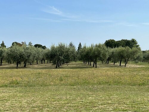 Valle Di Venere, Prenota Hotel Hotel a Abruzzo con piscina, Piscina