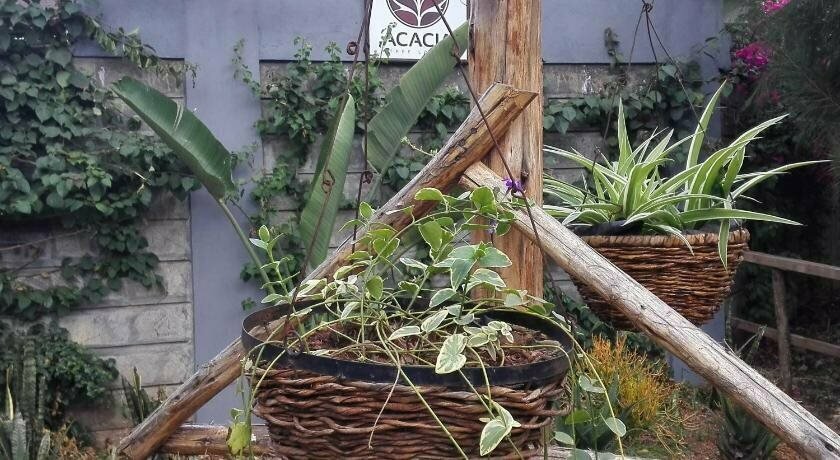 Acacia Tree Lodge