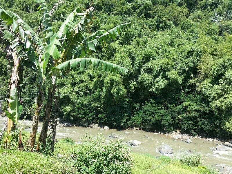 Driam Riverside Resort