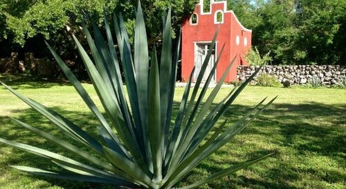 Hotel Hacienda Ticum, Book Hotel Hoteller i Yucatán med parkering, Parkering