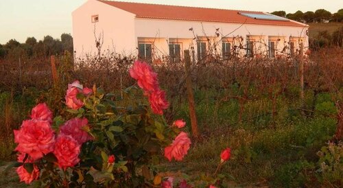 Quinta das Ratoeiras, Reserva ahora Casa o chalet  