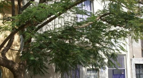 Hotelitto San Miguel, Забронировать Отель Сан-Мигель-де-Альенде Гуанахуато, рядом с Chorro´s trip