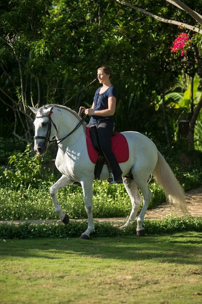 Donatela Resort & Sanctuary