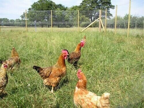 Whashton Springs Farm, Book Landbrugsophold Hoteller i Cumbria med parkering, Parkering