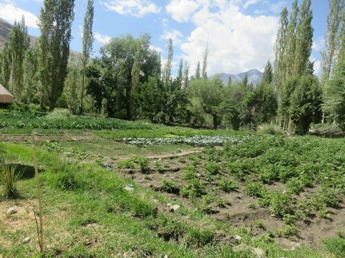 Silk Route Cottages, Забронировать Отель Отели Джамму и Кашмира с парковкой, Парковка