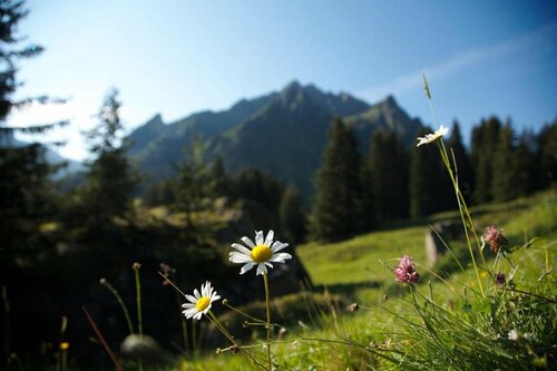 Familienhotel Mateera Gargellen / Montafon, Prenota Hotel Hotel a Vorarlberg con parcheggio, Parcheggio