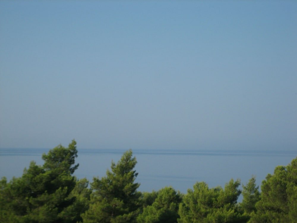 Seapine Studios