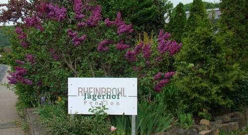 Pension Jägerhof, Забронировать Отель Отели Райнброль 3 звезды, 3*