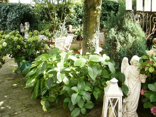Hotel am Glockenturm, Prenota Hotel Luechow Wendland
