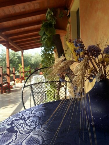 Domu de Palla, Buchen Sie Bed & Breakfast Bauladu 