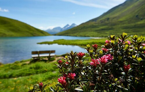Hotel Altein Arosa, a Faern Collection Resort, Забронировать Курортный отель Ароза Граубюнден