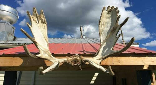 Kluane Park Inn, Book Inn Mini‑Hotels in Yukon, Inn
