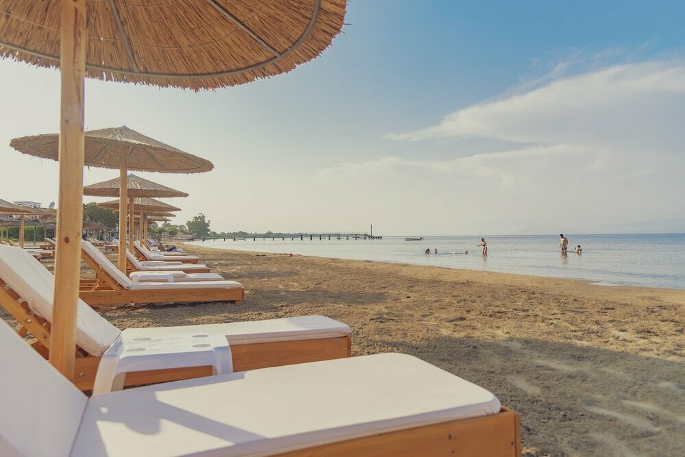 La Playa Grande