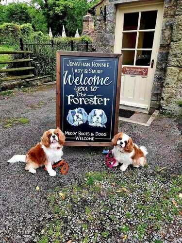 The Forester, Varaa Bed and Breakfast Hotellit Merseyside aamiaisella, Aamiainen