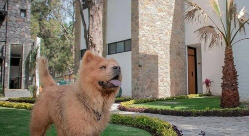 Hotel Boutique Camino Del Bosque by Rotamundos, Prenota Boutique Cholula Stato di Puebla