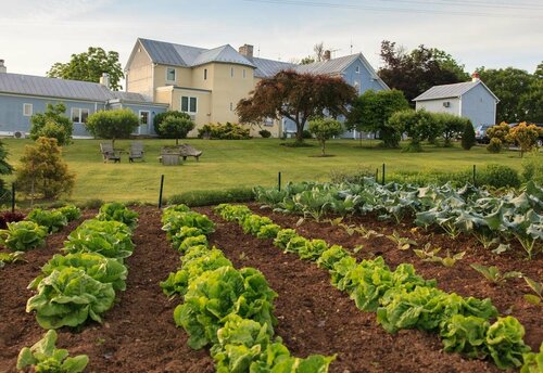 LAuberge Provencale Inn & Restaurant, Prenota Hotel Boyce Virginia
