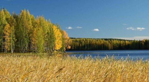 IK Hotel & Camping, Buchen Sie Campingplatz Camping & Glamping in Westfinnland, Campingplatz