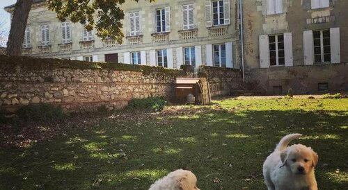 Château Rouge 47, Reserva ahora Hotel Hoteles en Aquitania con piscina, Piscina