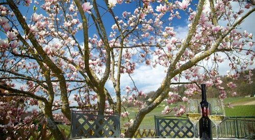 Cave Beetschen, Book Hotel Hoteller i Vaud med parkering, Parkering
