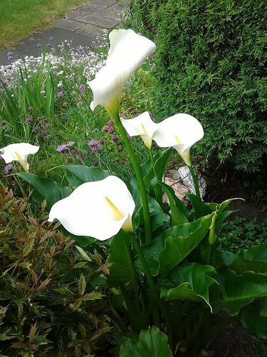 Cornerstones Guest House, Varaa Hotelli Trafford Merseyside
