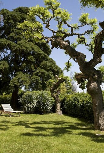 Villa Cassia di Baccano, Buchen Sie Villa Loro Ciuffenna Valdarno