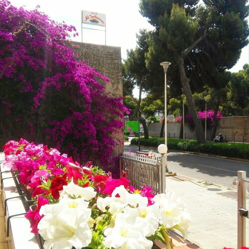 Bed and Breakfast Al Solemar