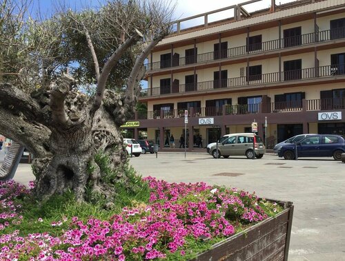 Bnb Sulis, Забронировать Отель Альгеро Sardinia North, рядом с Palazzo D Albis