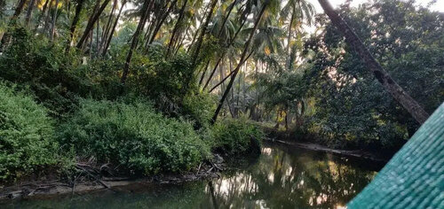 Saturn Beach Cottage, Prenota Casa vacanze Ville a South Goa, Villa