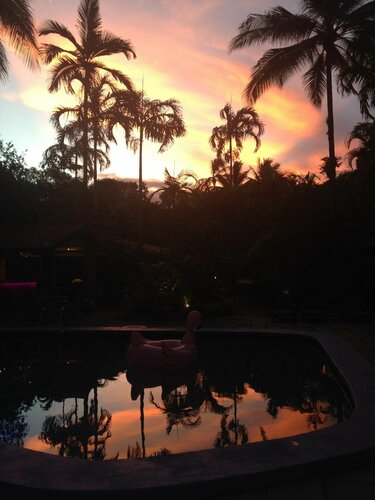 Pink Flamingo Resort, Buchen Sie Resort SPA-Hotels in Port Douglas, SPA