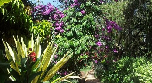 Karen little paradise, Book Hotel Billige hoteller i Nairobi