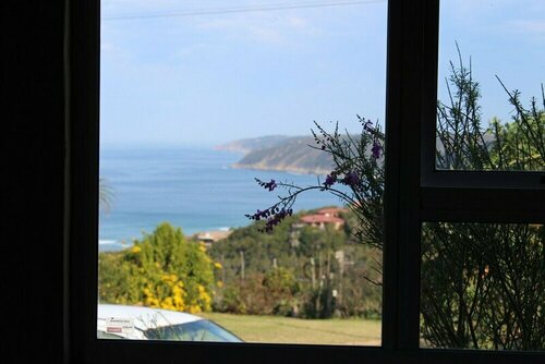 The Wild Farm Backpackers