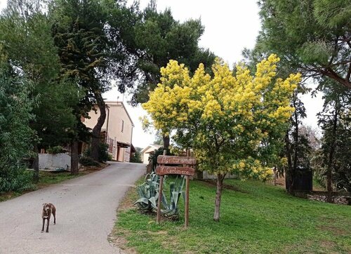 Agriturismo IL CANTINIERE, Book Farm Stay Rispescia Tuscany