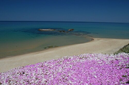 Best Western Hotel Blumarea, Reserva ahora Hotel Castelsardo Costa Paradiso