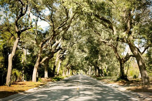 Hampton Inn Pensacola-Airport, Boek Hotel Pensacola Panhandle Florida