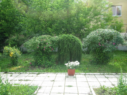 Kamenskaya Zdravnitsa