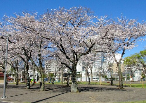 Shizutetsu Hotel Prezio Shizuoka Ekinan, Book Hotel Hotels in Tokai with Parking, Parking