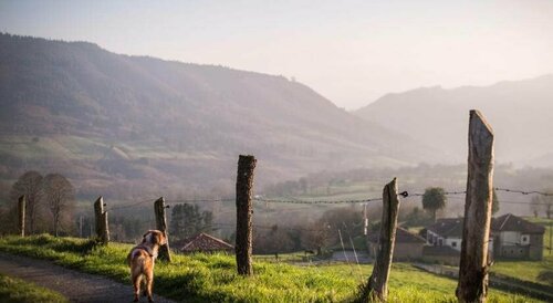 El gran sueño Boutique Hotel & Apartamentos, Book Hotel Hoteller i Asturias med parkering, Parkering