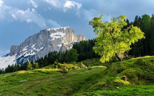Schönauerhof, Varaa Hotelli Schlanitzen Hermagor-Pressegger See