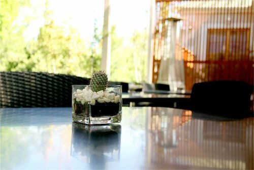 The Gallery, Book Hotel Queenstown Eastern Cape